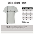 I'm A Professor At Harverd Triblend T-Shirt - Athletic Grey