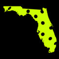 Florida T-Shirt - United States of Pickleball