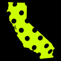 California Hoodie - States of Pickleball