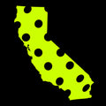 California T-Shirt - States of Pickleball